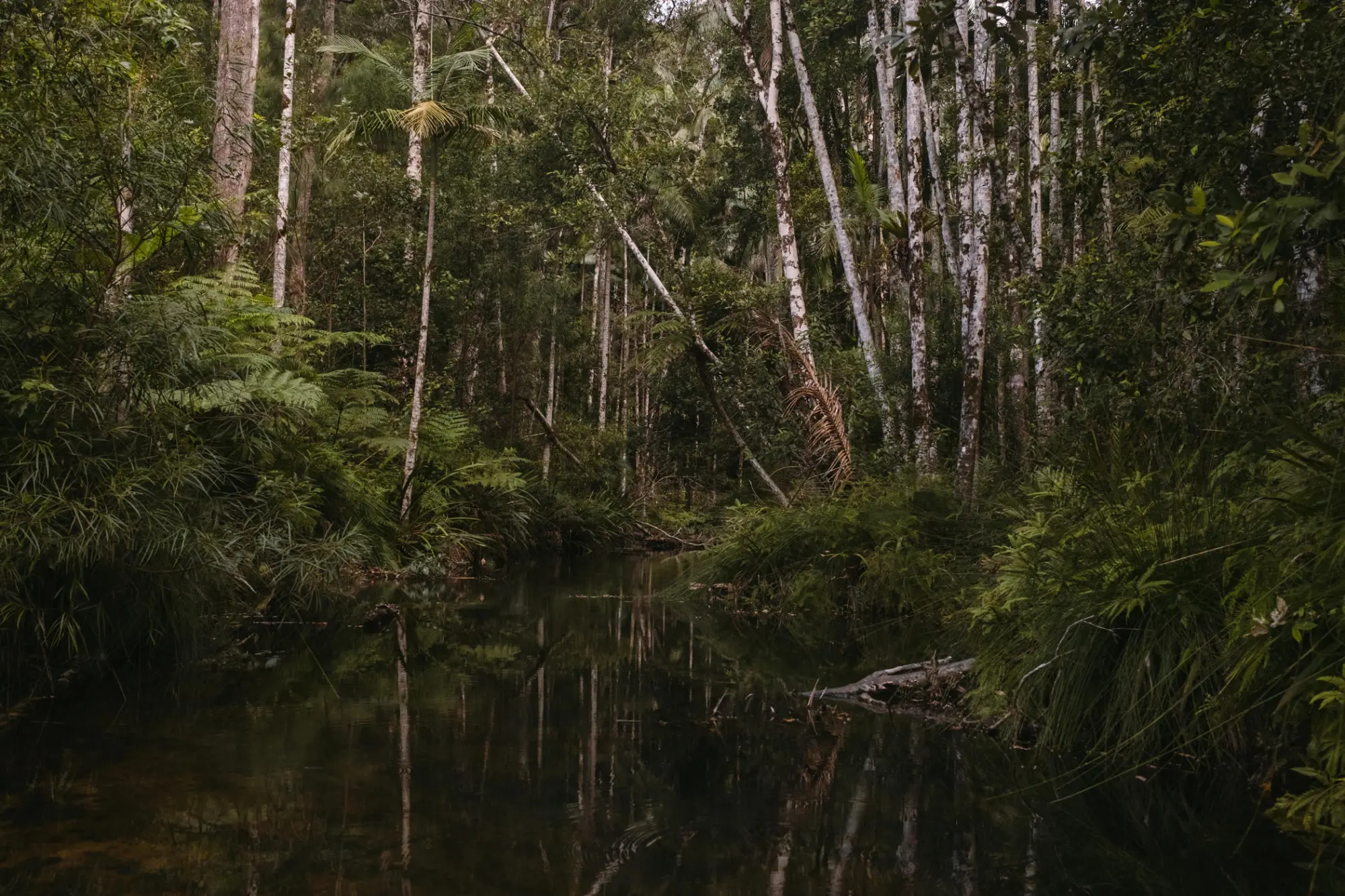A new wave of biodiversity assessment, offset planning and natural capital is moving to the foreground